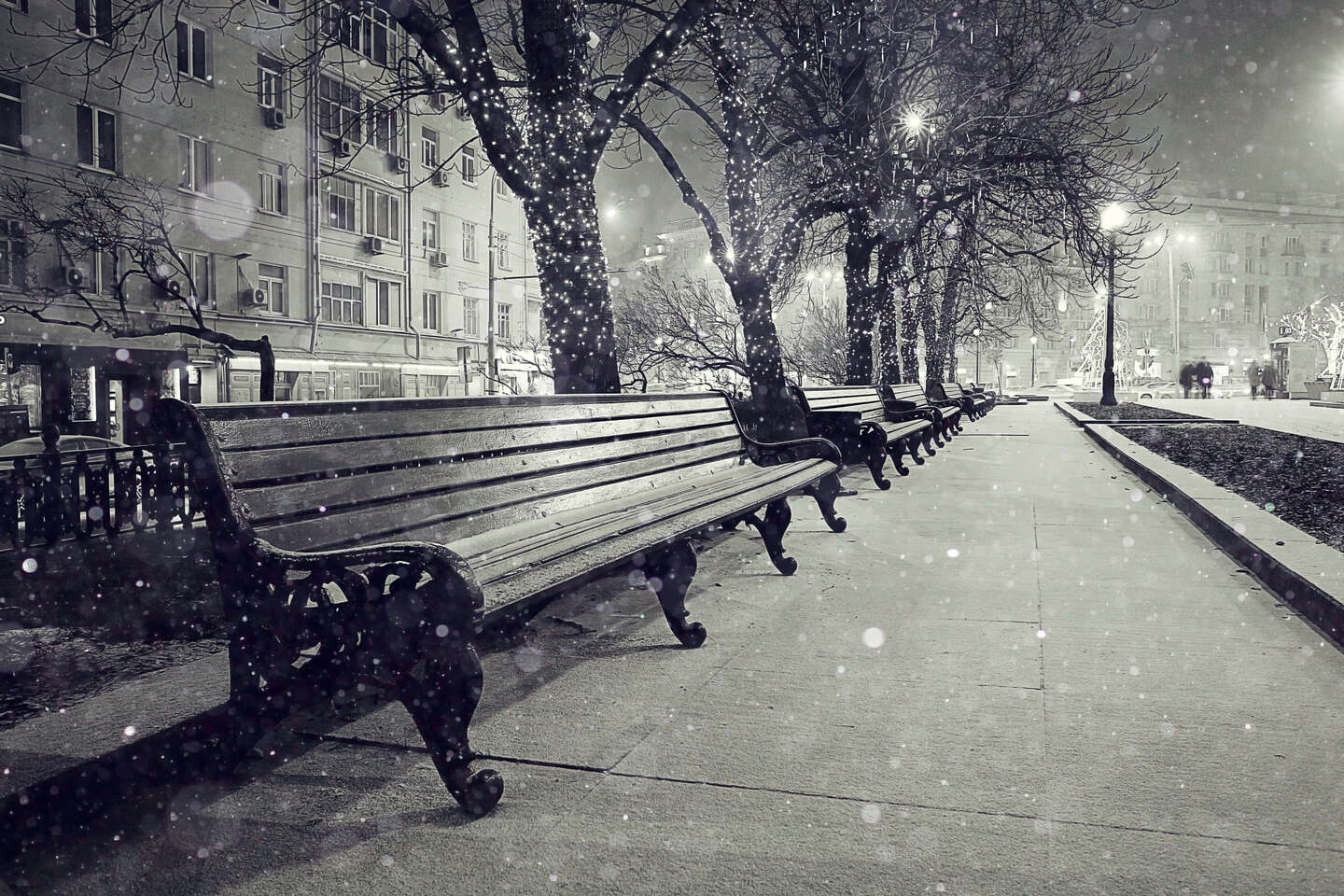 snowy empty bench