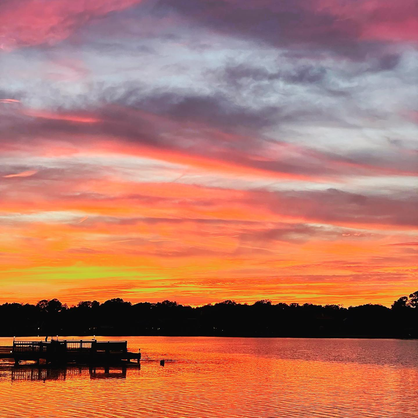 lake-magdalene-fl-direct-cremation