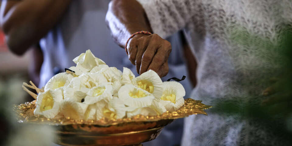 flowers in gold bowl