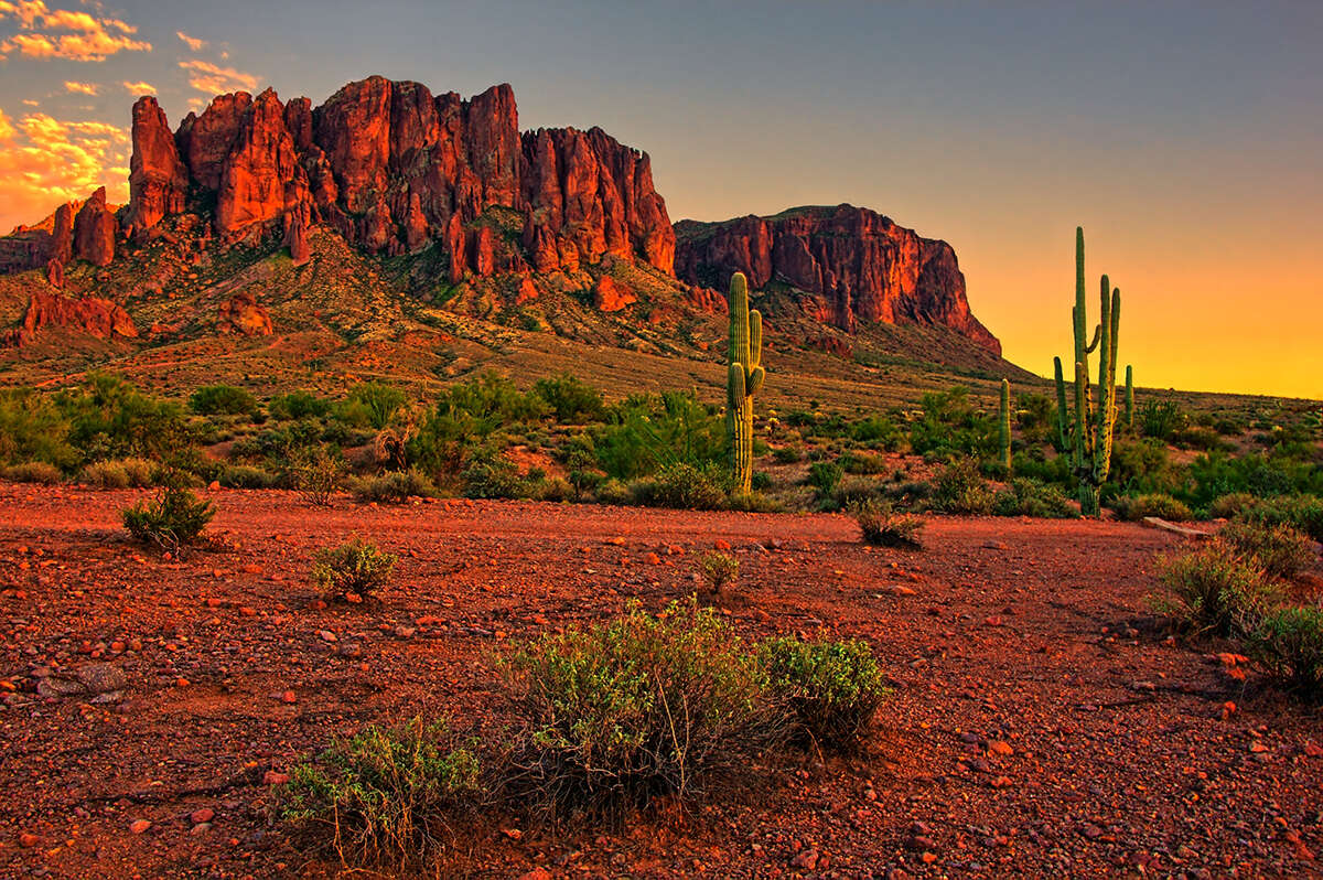 Chandler direct cremation