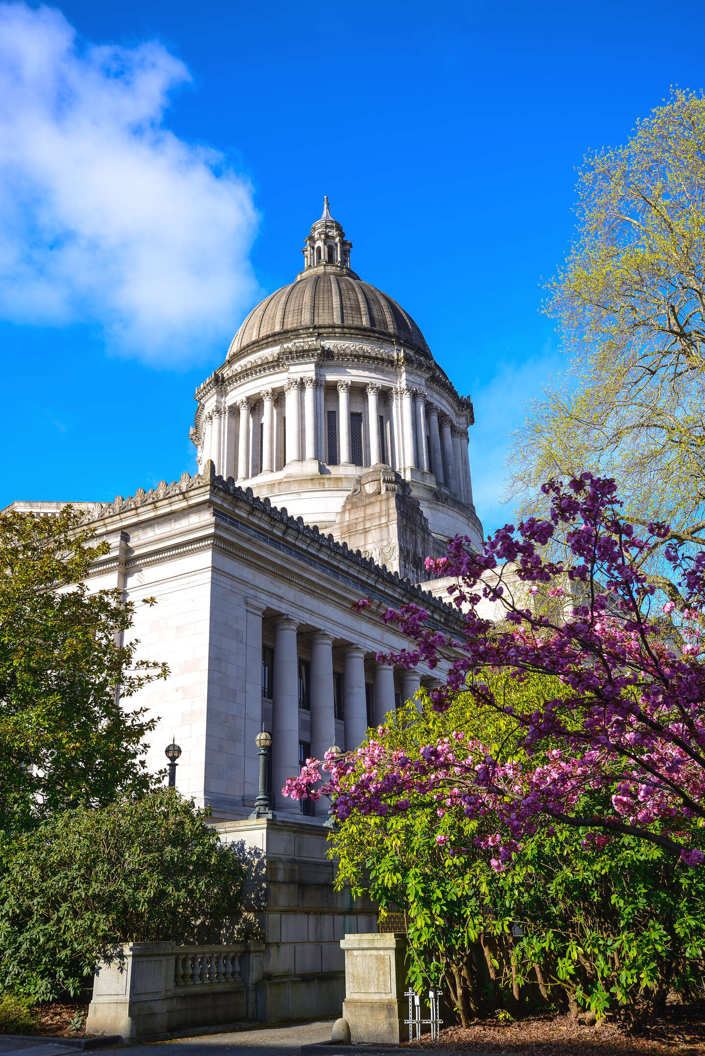 kent-wa-direct-cremation