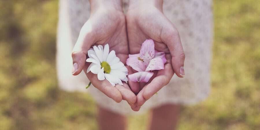 hands holding flowers