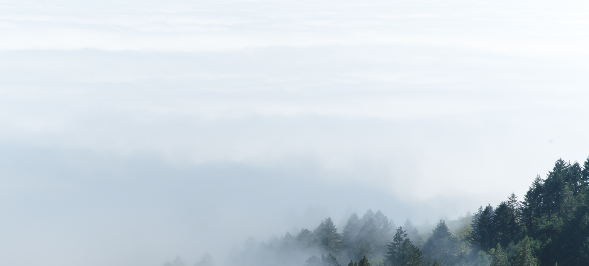 landscape of Oregon