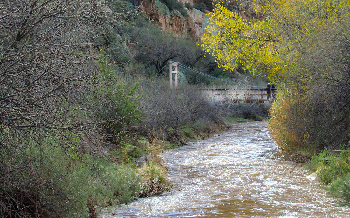 Image alt text.