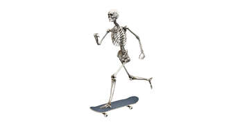 SKATEGEEZER2.jpg?sw=336&cx=79&cy=0&cw=1910&ch=1080&q=60