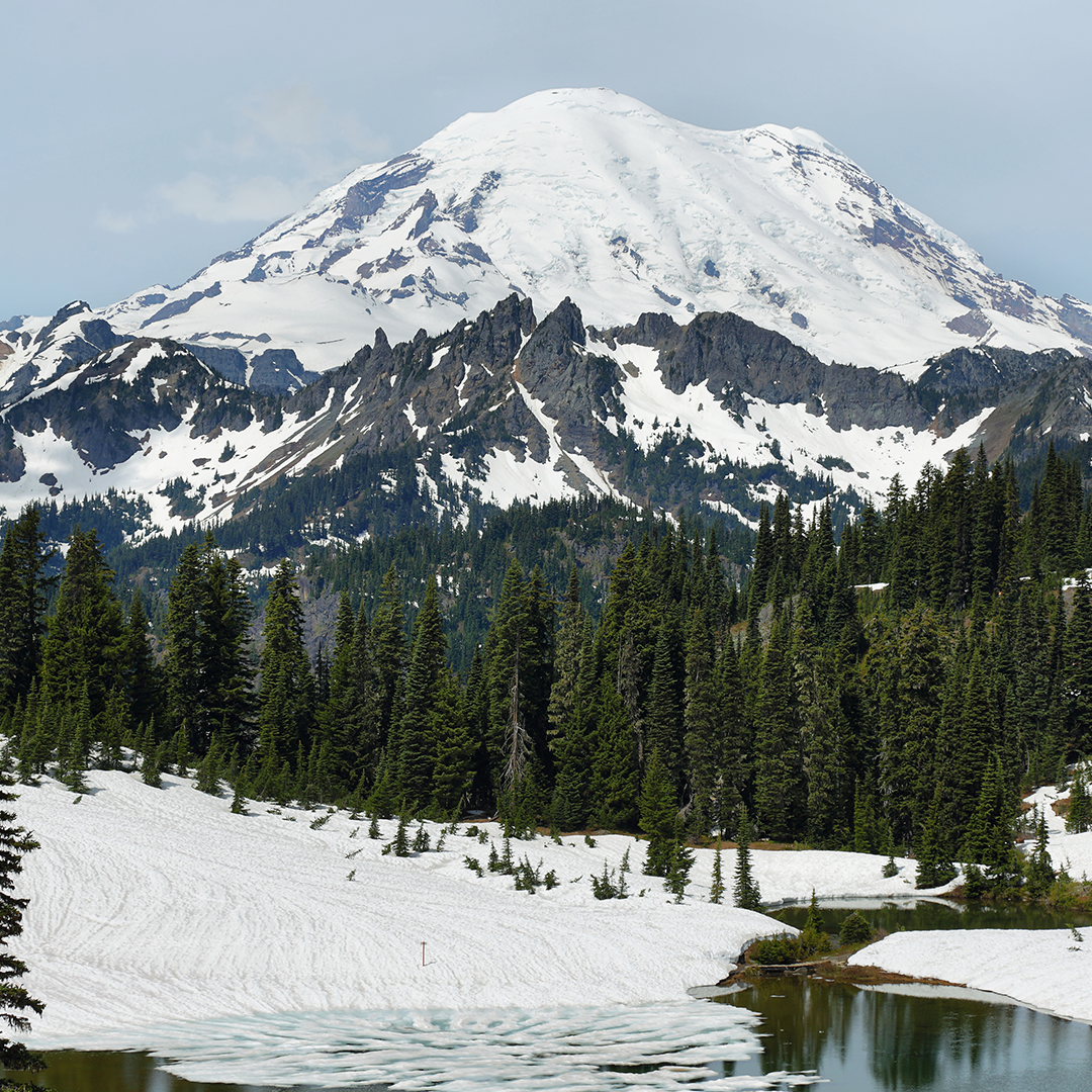 Image alt text.