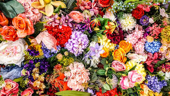 flower-memorials.jpg?sw=336&cx=0&cy=0&cw=1378&ch=780&q=60