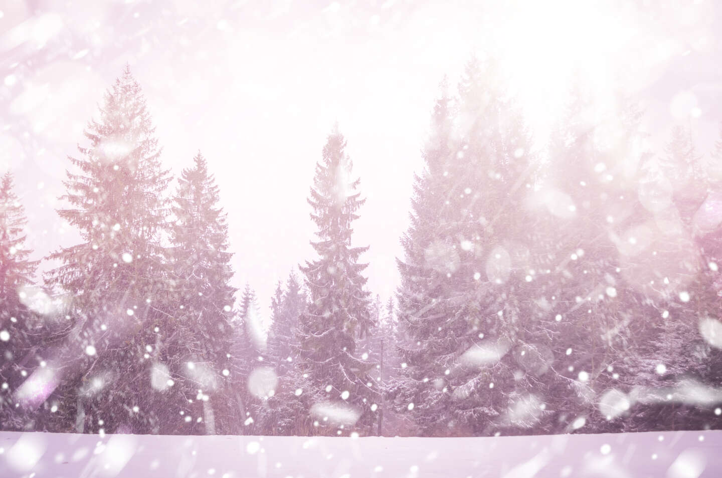snowy wintery landscape