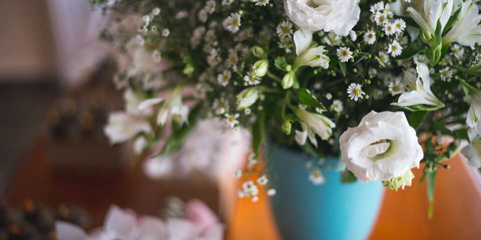 photo-1544813618-56d190260a84-1