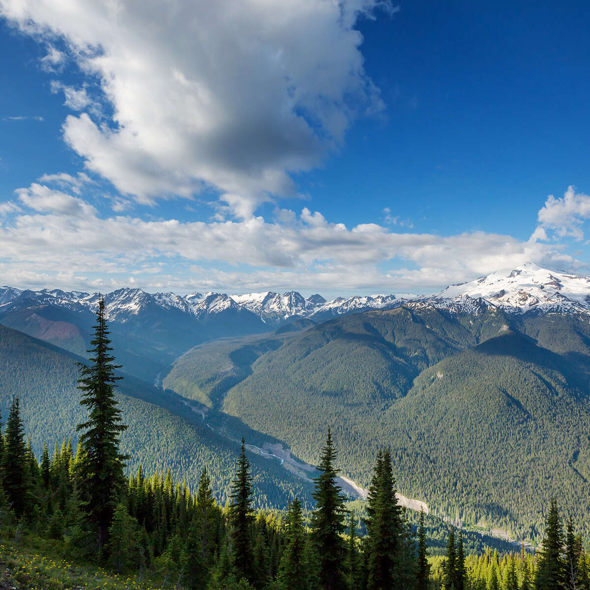 vancouver-wa-direct-cremation