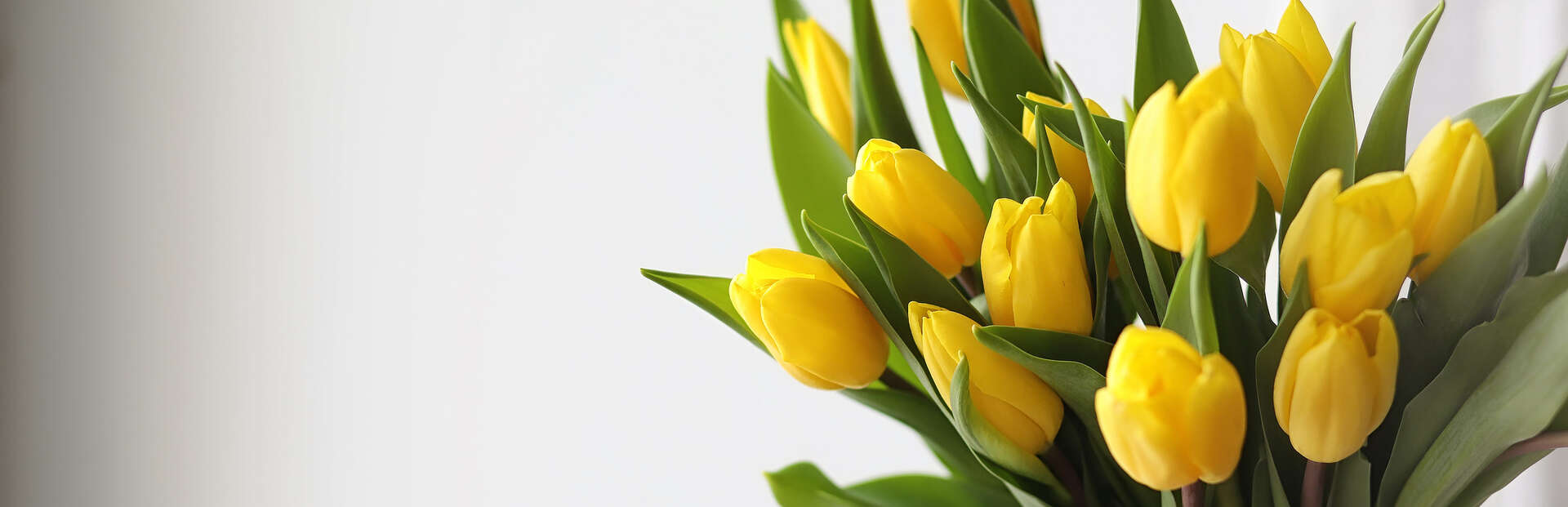 yellow tulip arrangement