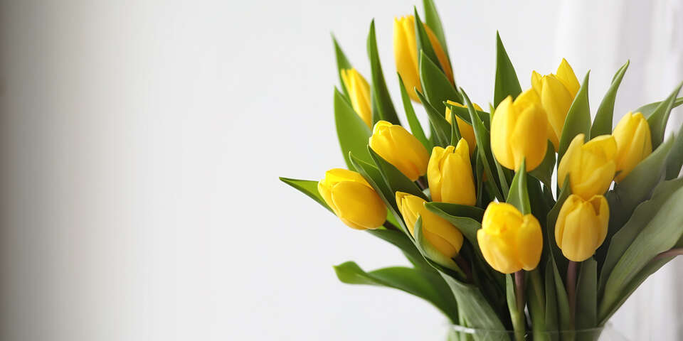 yellow tulip bouquet