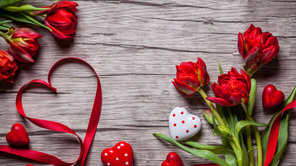 Valentine-Tulips.jpg?sw=592&cx=0&cy=0&cw=5616&ch=3159&q=60