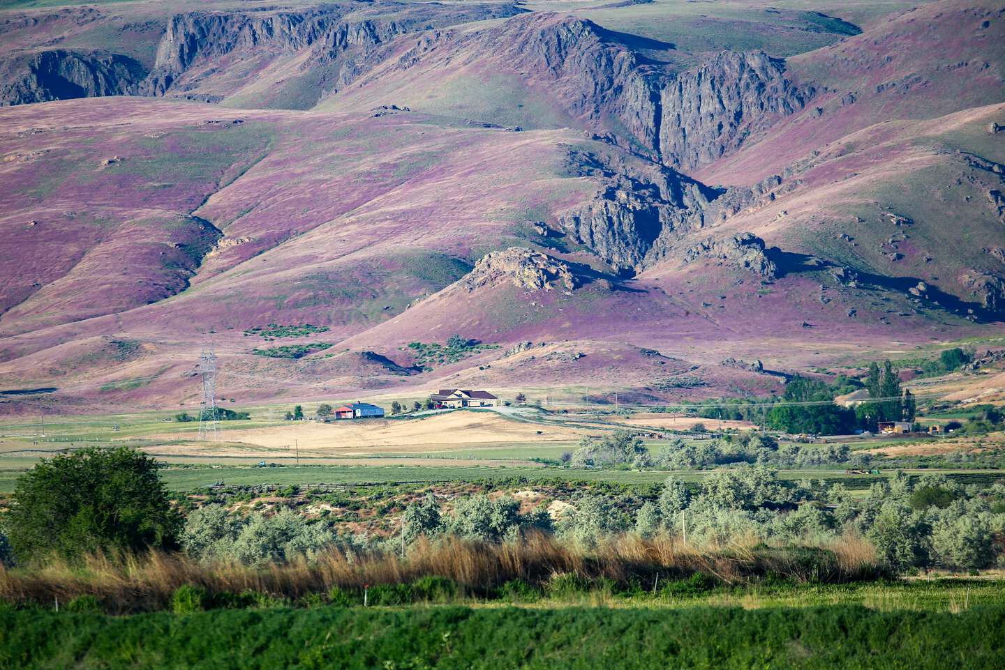 Image alt text.