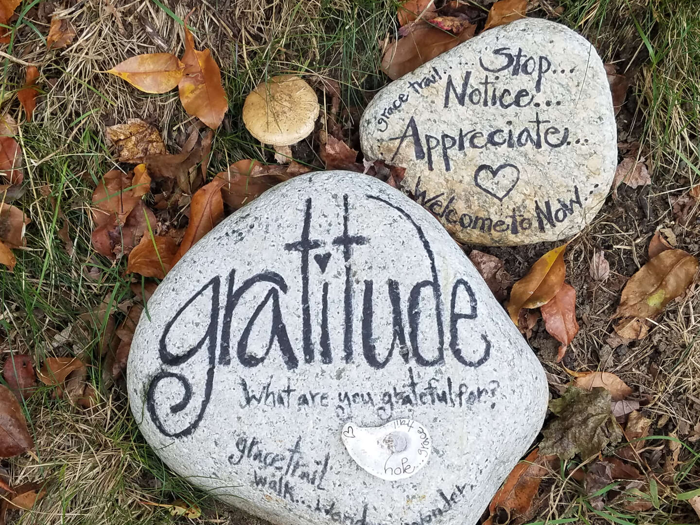 gratitude stones