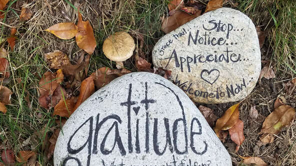 how-gratitude-helps-us-heal.jpg?sw=592&cx=0&cy=0&cw=4032&ch=2268&q=60