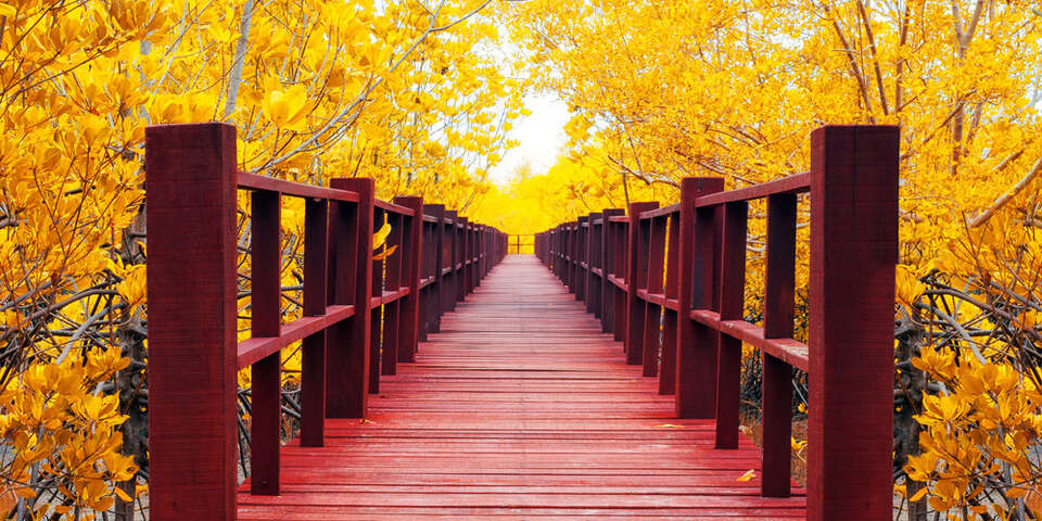 red bridge with yellow leaves