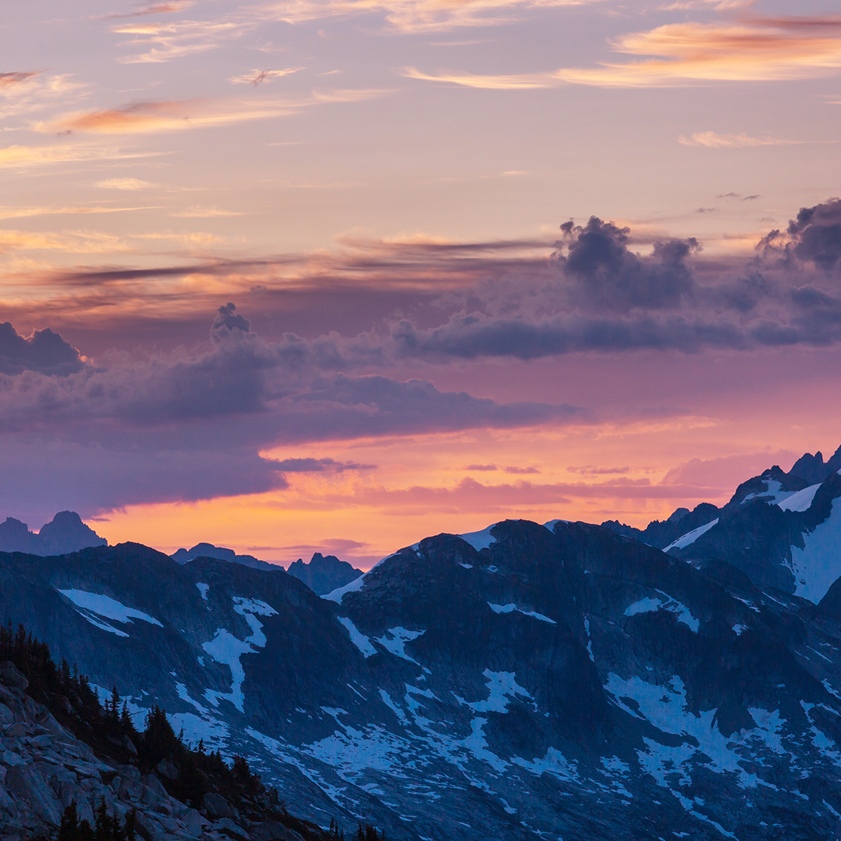 puyallup-direct-cremation