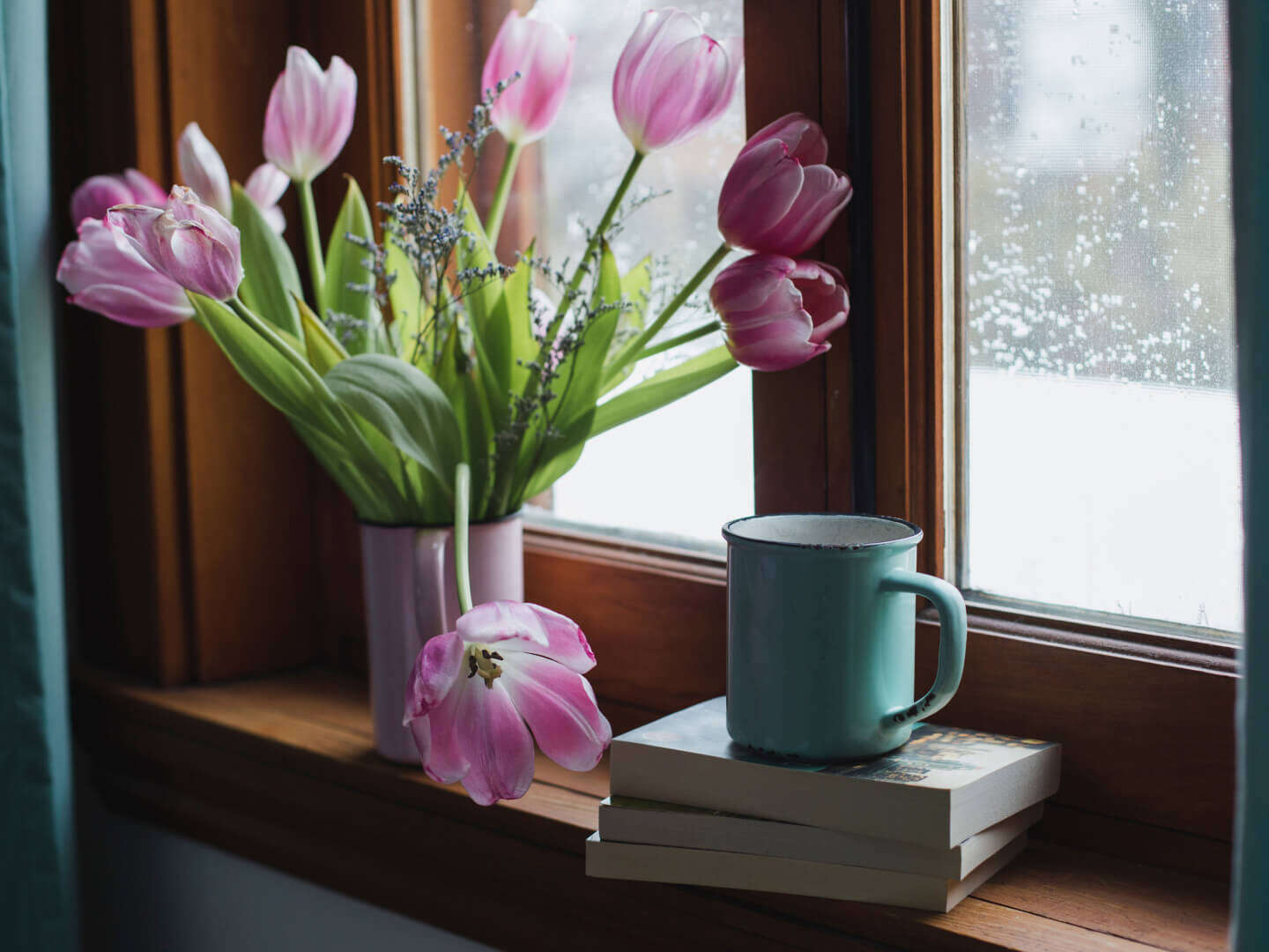 tulips books on windowsill