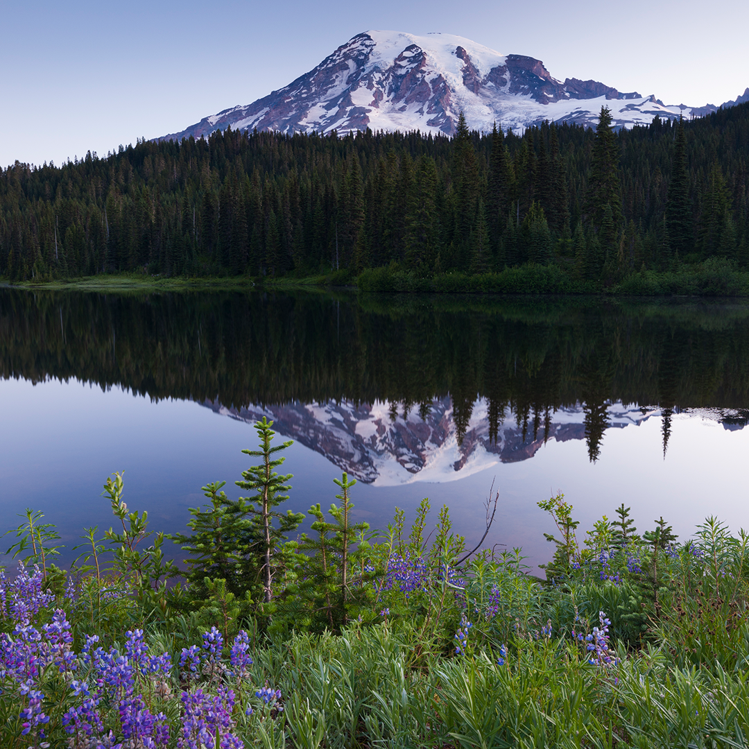 anacortes-direct-cremation