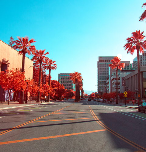 San Jose location