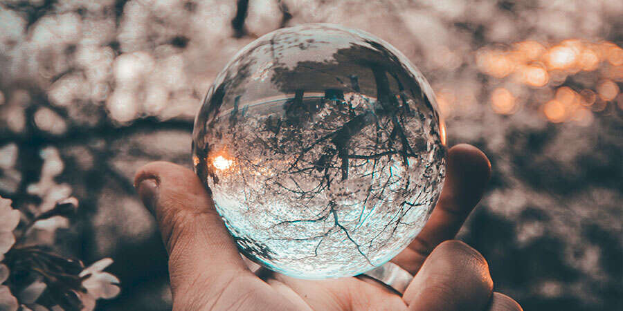 glass orb with trees