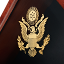 Flag Case  large image number 3
