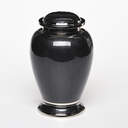Enchanted Elegance Cremation Urn - Black image number 1