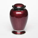Enchanted Elegance Cremation Urn - Red image number 1
