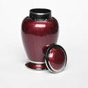 Enchanted Elegance Cremation Urn - Red image number 2