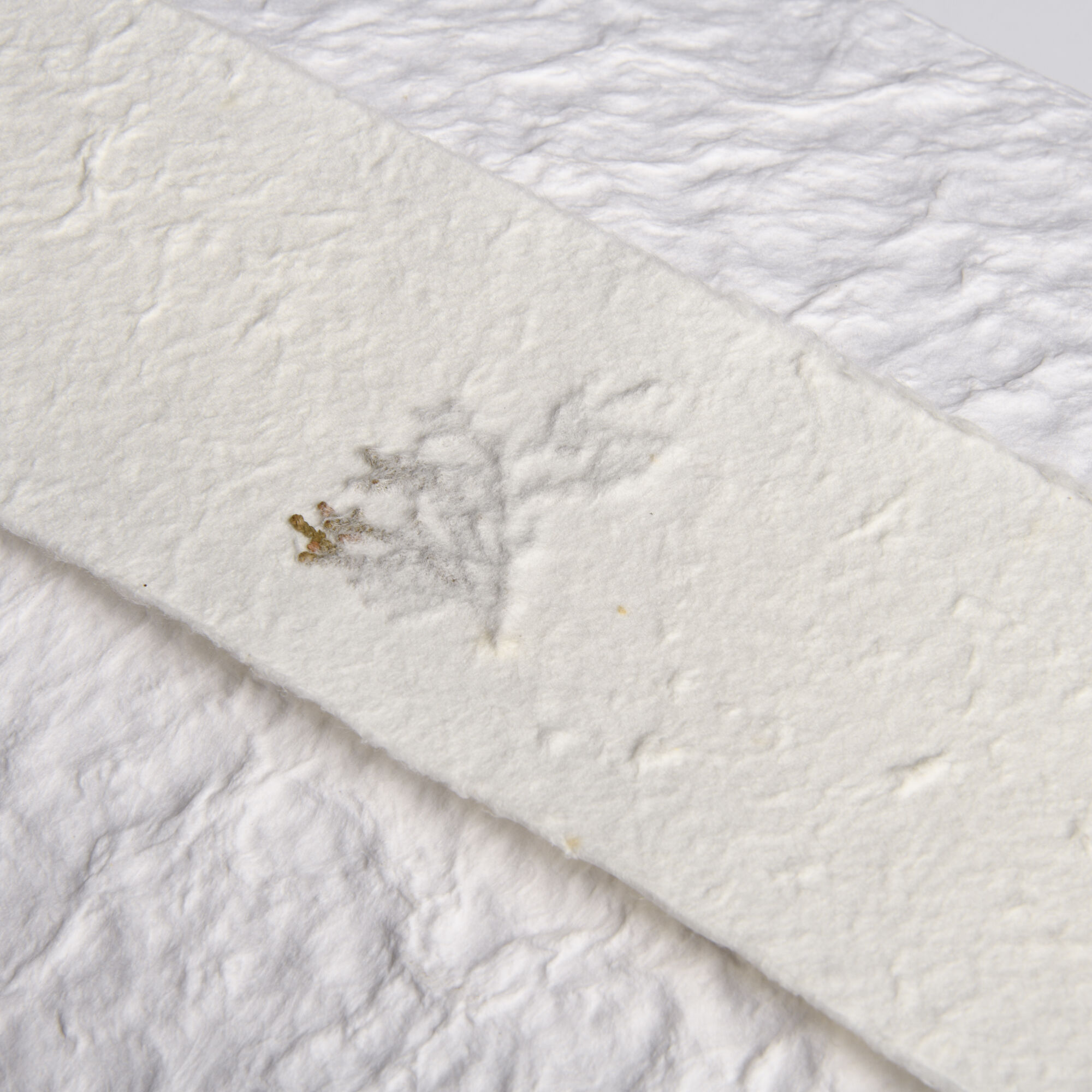 Seaside Serenity Aquatic Cremation Urn image number 2