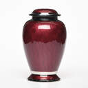Enchanted Elegance Cremation Urn - Red image number 5